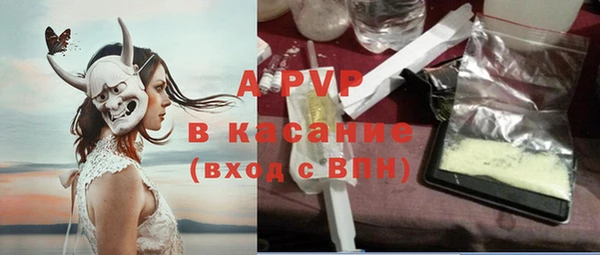 молекула духа Богданович