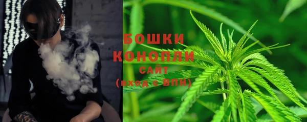 хмурый Белокуриха
