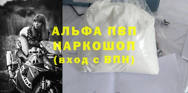 молекула духа Богданович