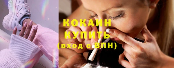 хмурый Белокуриха