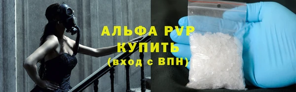 хмурый Белокуриха
