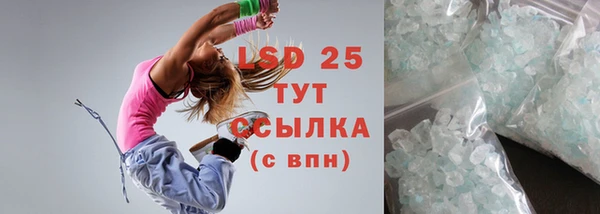молекула духа Богданович