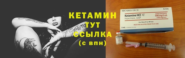хмурый Белокуриха