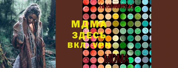 молекула духа Богданович