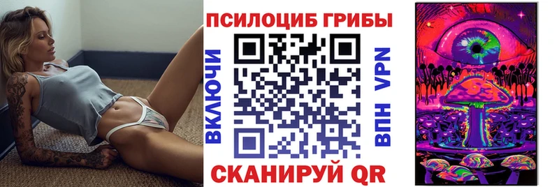 hydra как войти  Нестеров  Псилоцибиновые грибы ЛСД 